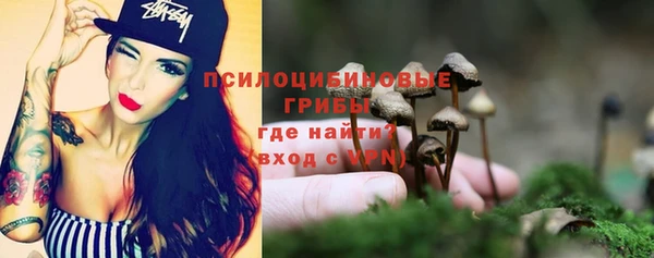 каннабис Богданович