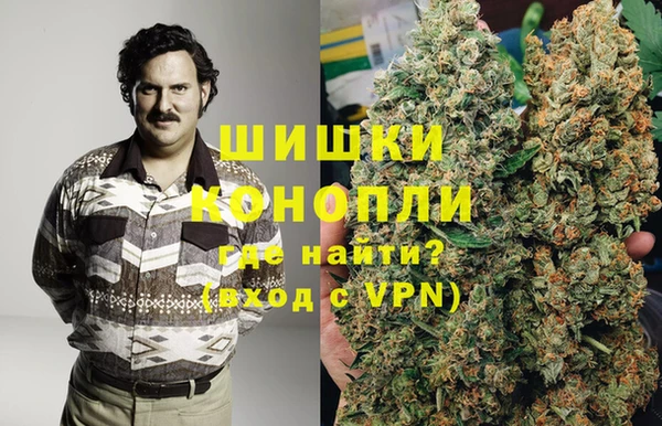 шишки Богородск